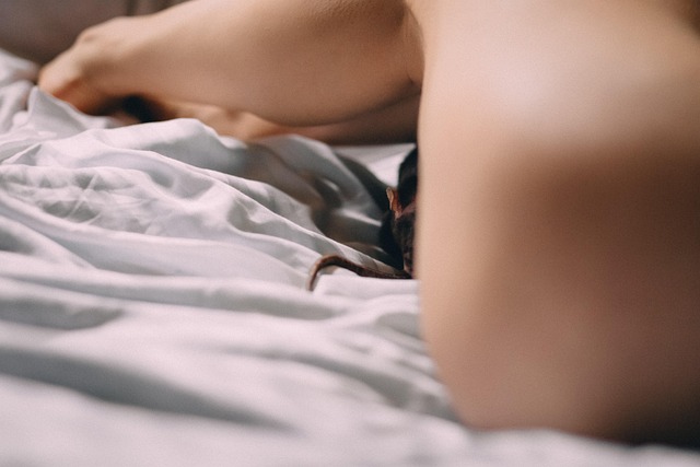 Welche Arten von Dominas gibt es? 